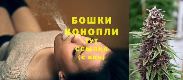 PSILOCYBIN Нефтегорск