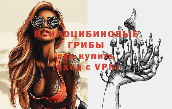 стаф Нея