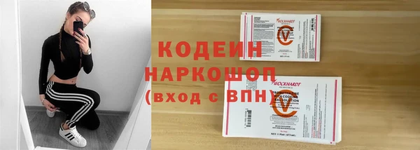 стаф Нея