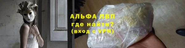 гашик Надым