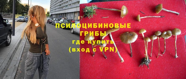 индика Болотное