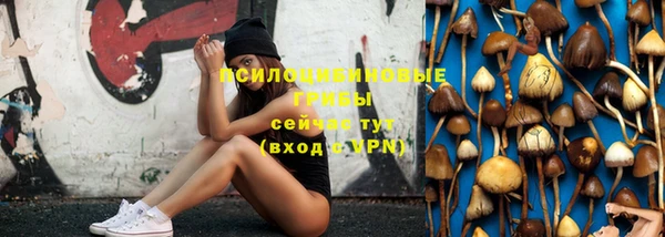 стаф Нея