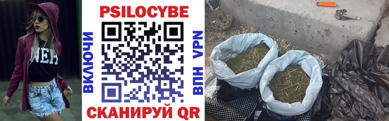 Галлюциногенные грибы мицелий  Ряжск 